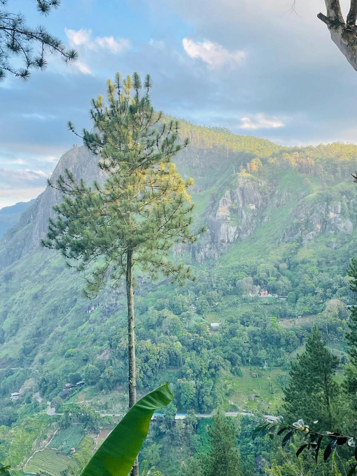 Hidden Gem Inn Ella Εξωτερικό φωτογραφία