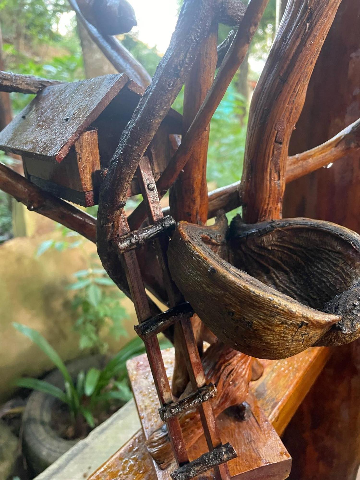 Hidden Gem Inn Ella Εξωτερικό φωτογραφία